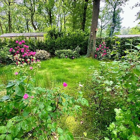 Vakantie Veluwe Wageningen Bagian luar foto