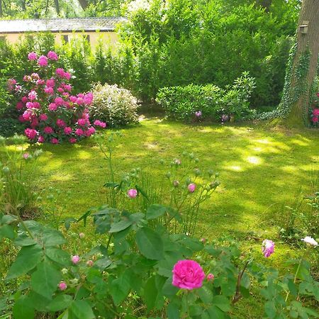 Vakantie Veluwe Wageningen Bagian luar foto