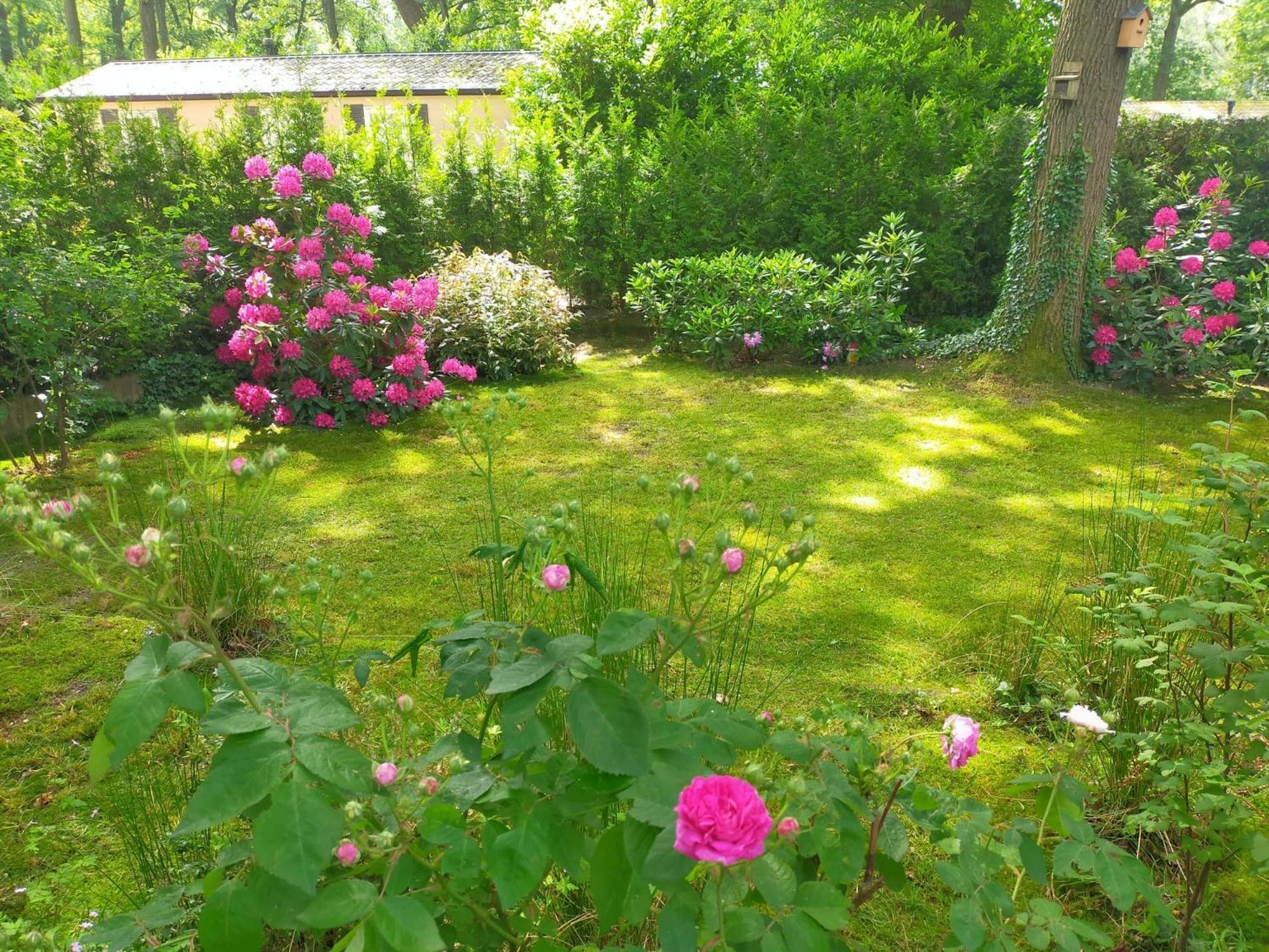 Vakantie Veluwe Wageningen Bagian luar foto