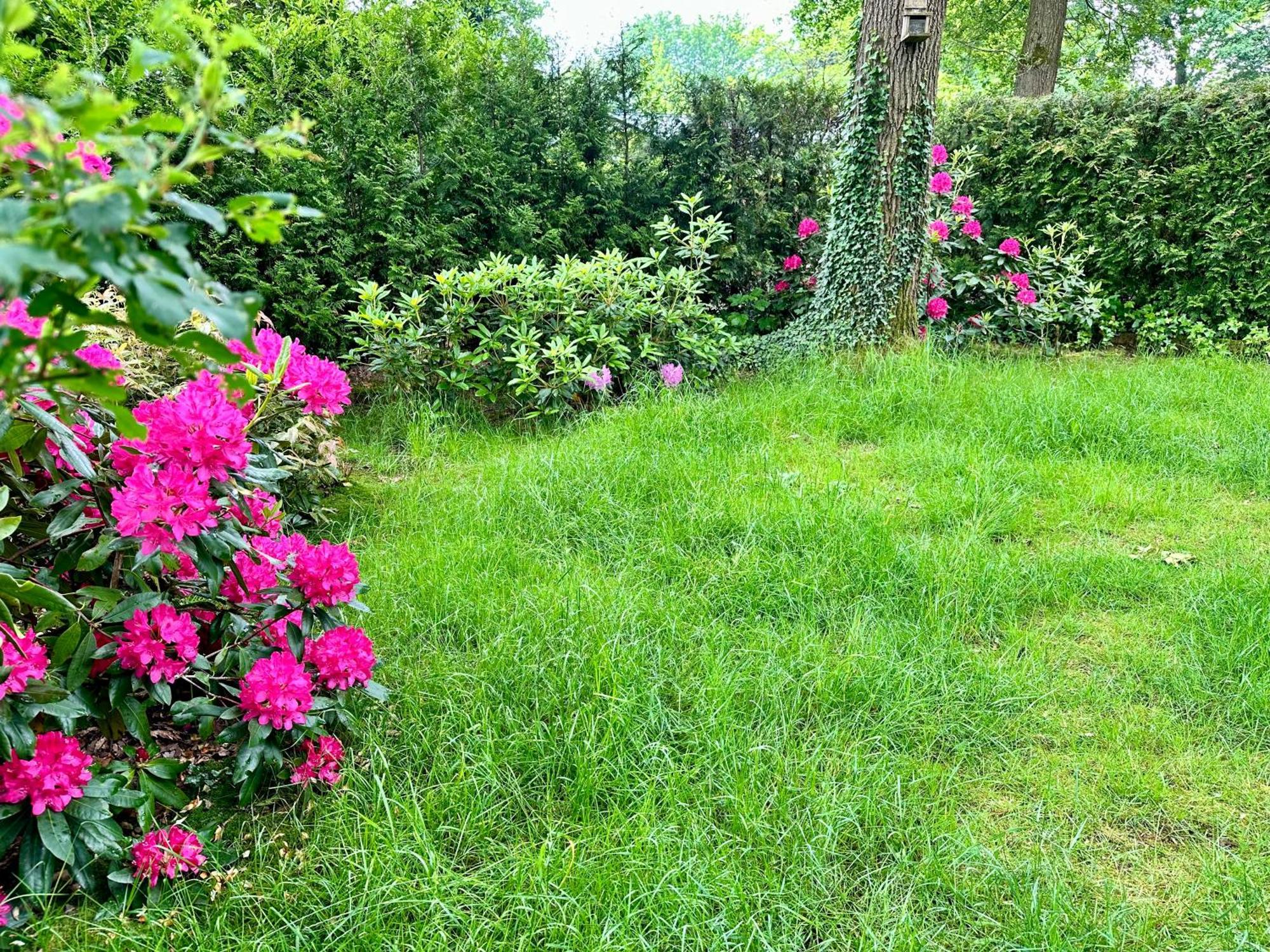 Vakantie Veluwe Wageningen Bagian luar foto