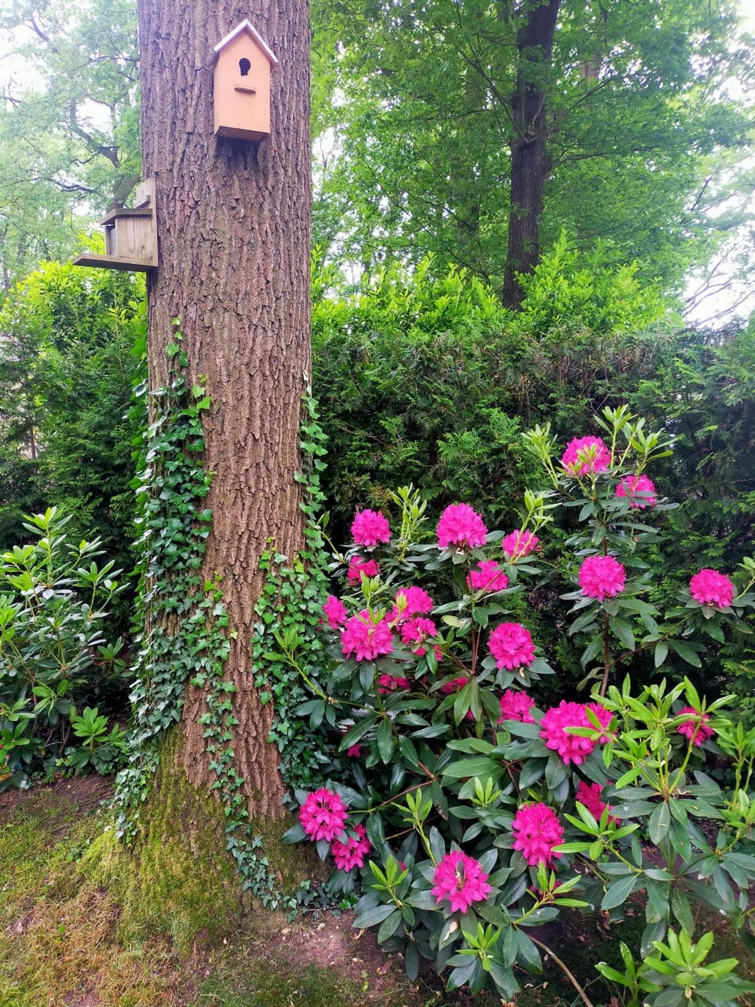 Vakantie Veluwe Wageningen Bagian luar foto